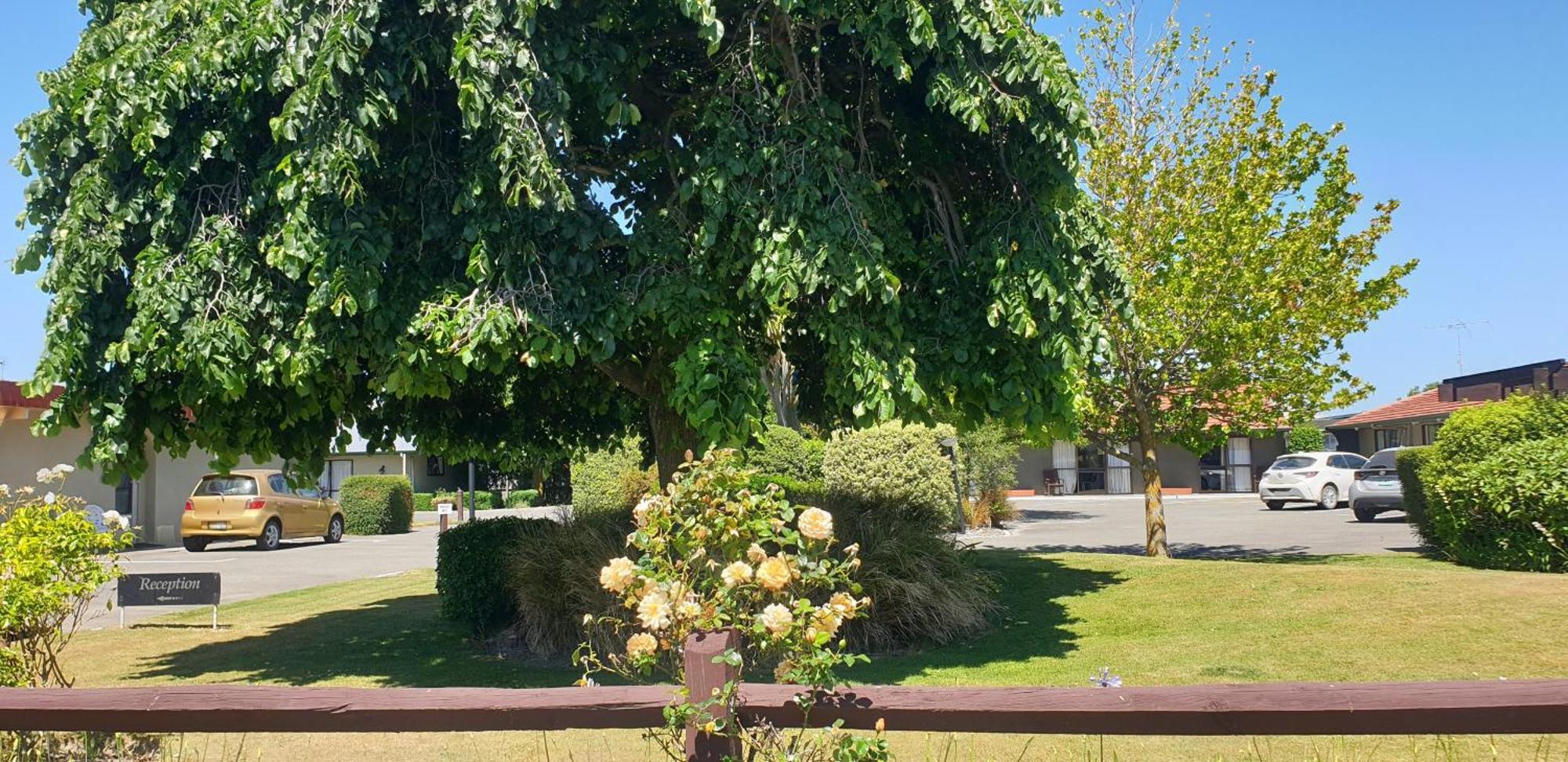 Commodore Motor Lodge Ashburton Dış mekan fotoğraf